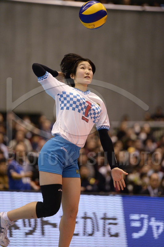 KYOEI VOLLEYBALL SPALDING ネイビー 共栄学園 SUNCOLORS | Kyoei University