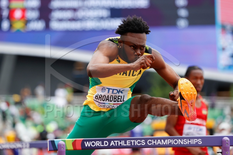 PHOTO KISHIMOTO CORPORATION