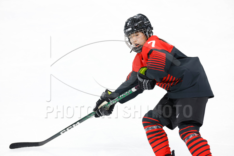 雑誌 ベケット カナダ アイスホッケー トレカ プライス 1995年 80ページ 雑誌 ベケット カナダ アイスホッケー トレカ プライス 1995年